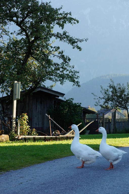 Ferienwohnungen Rettenbacher Abtenau Luaran gambar