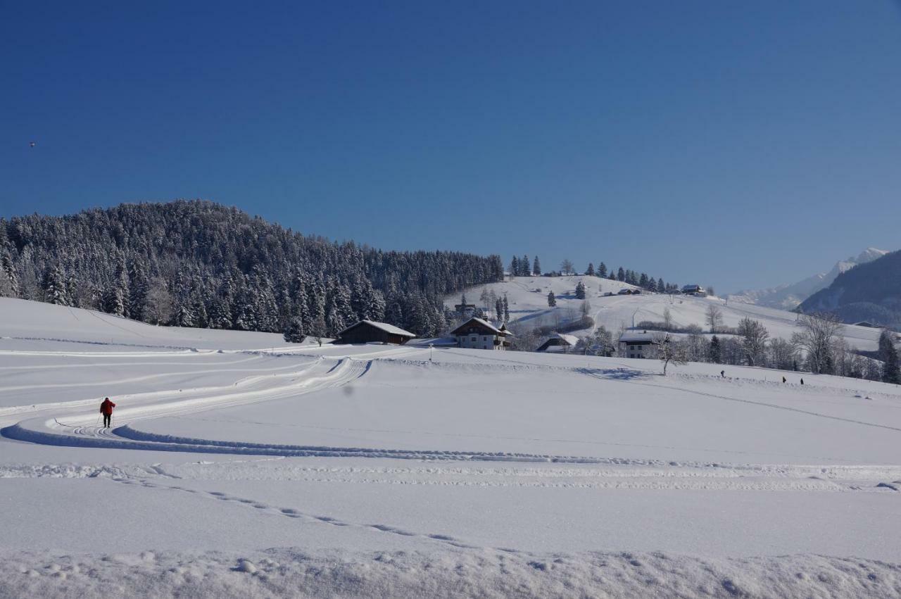 Ferienwohnungen Rettenbacher Abtenau Luaran gambar